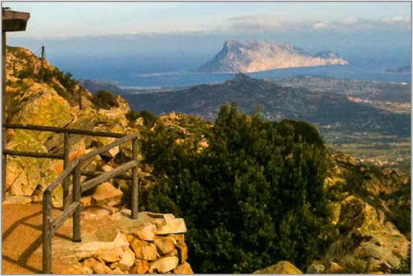 Natura Viva Escursioni Naturalistiche